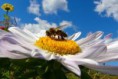 /album/fotogaleria/images-3-jpg/